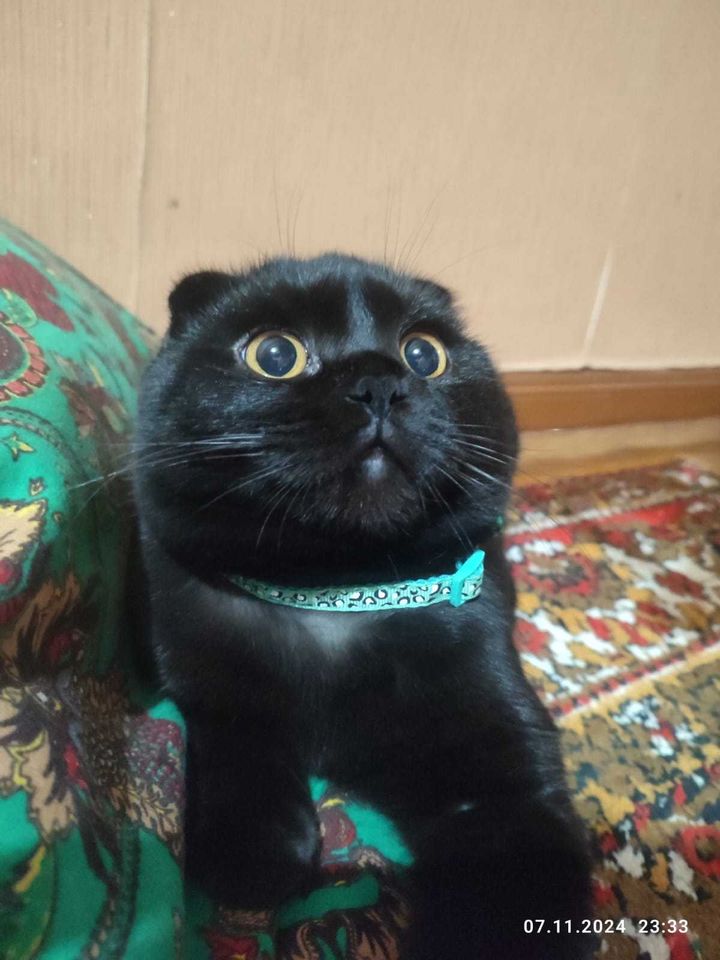 100 000 сум