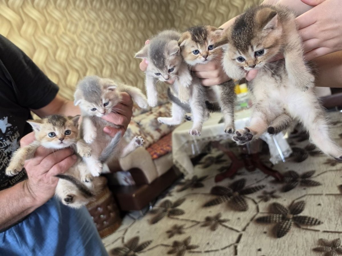 70 USD