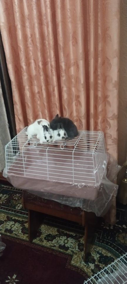 180 000 сум
