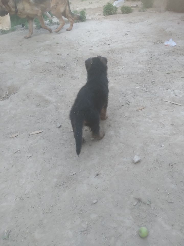 1 000 000 UZS