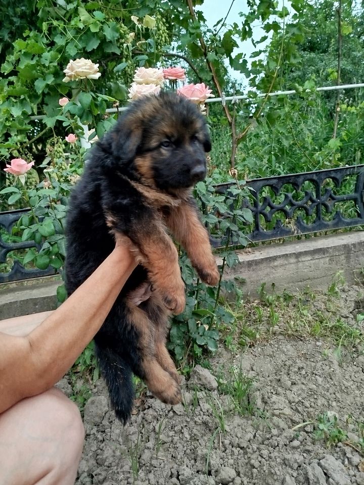 400 USD