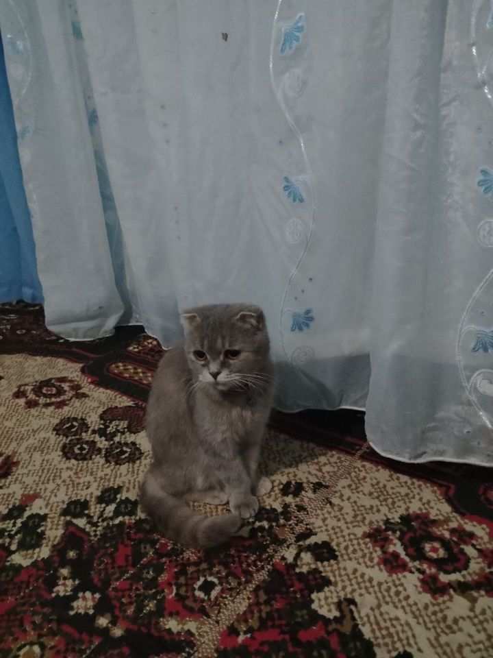 2 000 000 сум