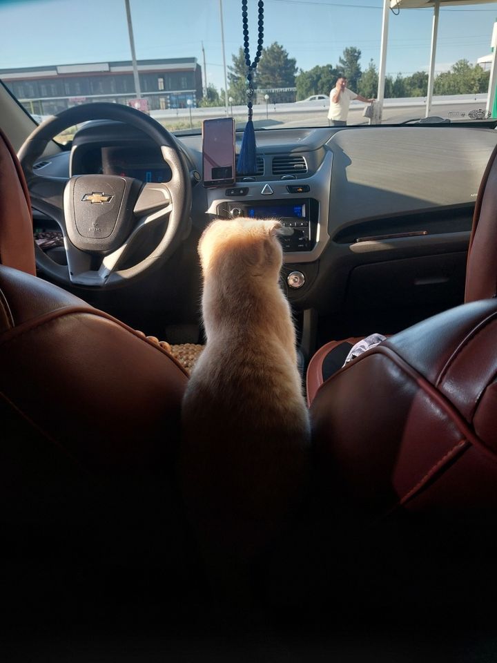 10 000 000 сум