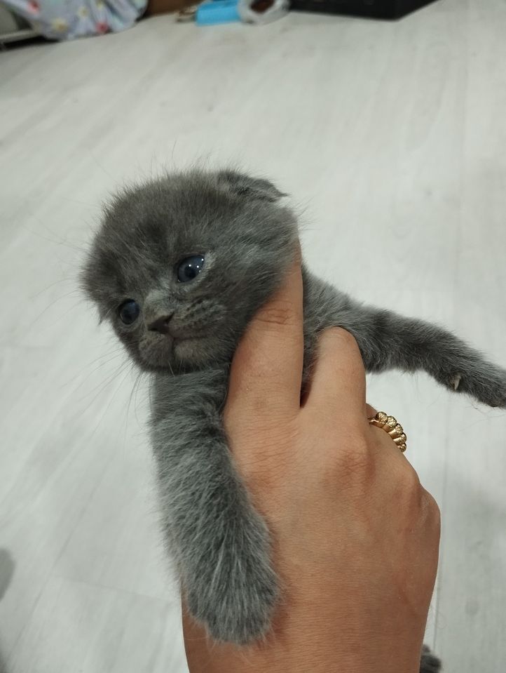 1 000 000 сум