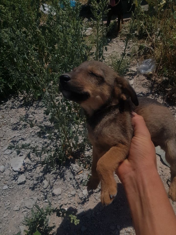 950 000 сум
