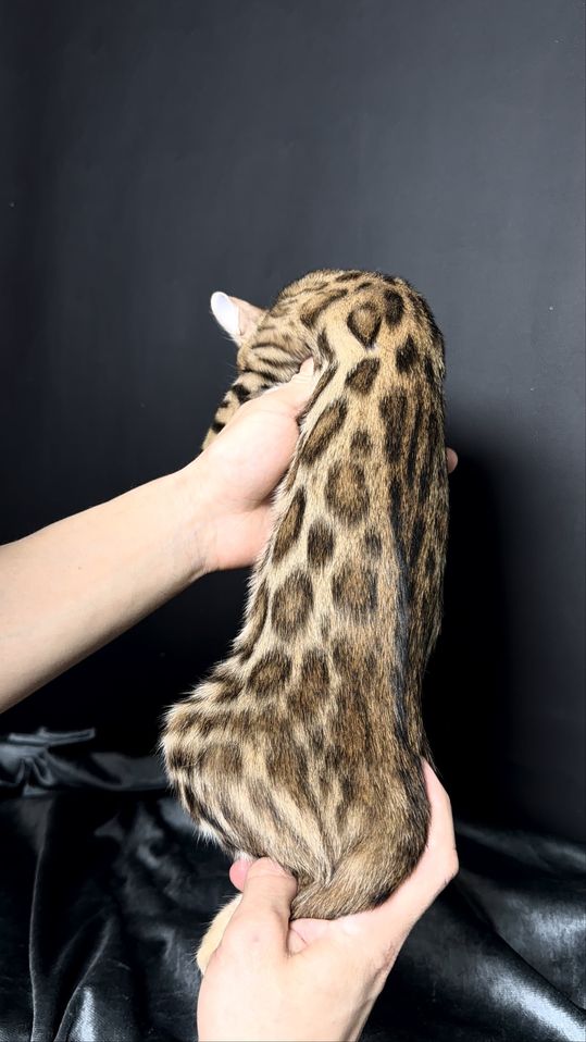 650 USD