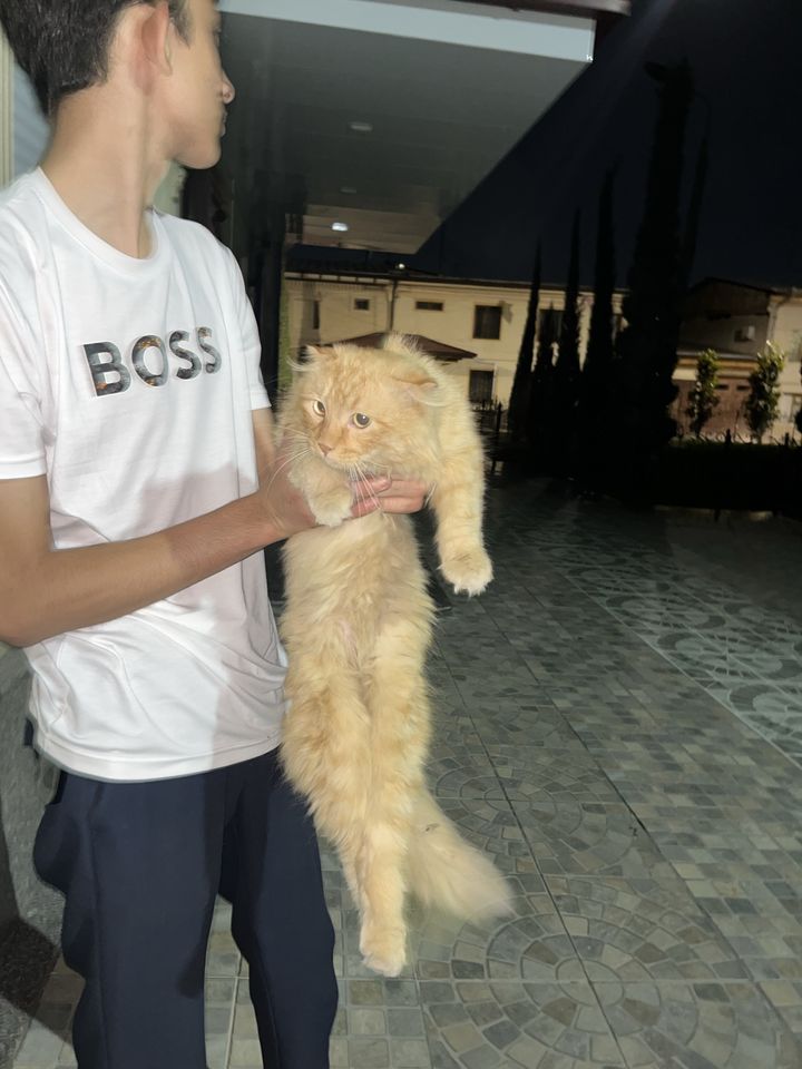 900 000 сум