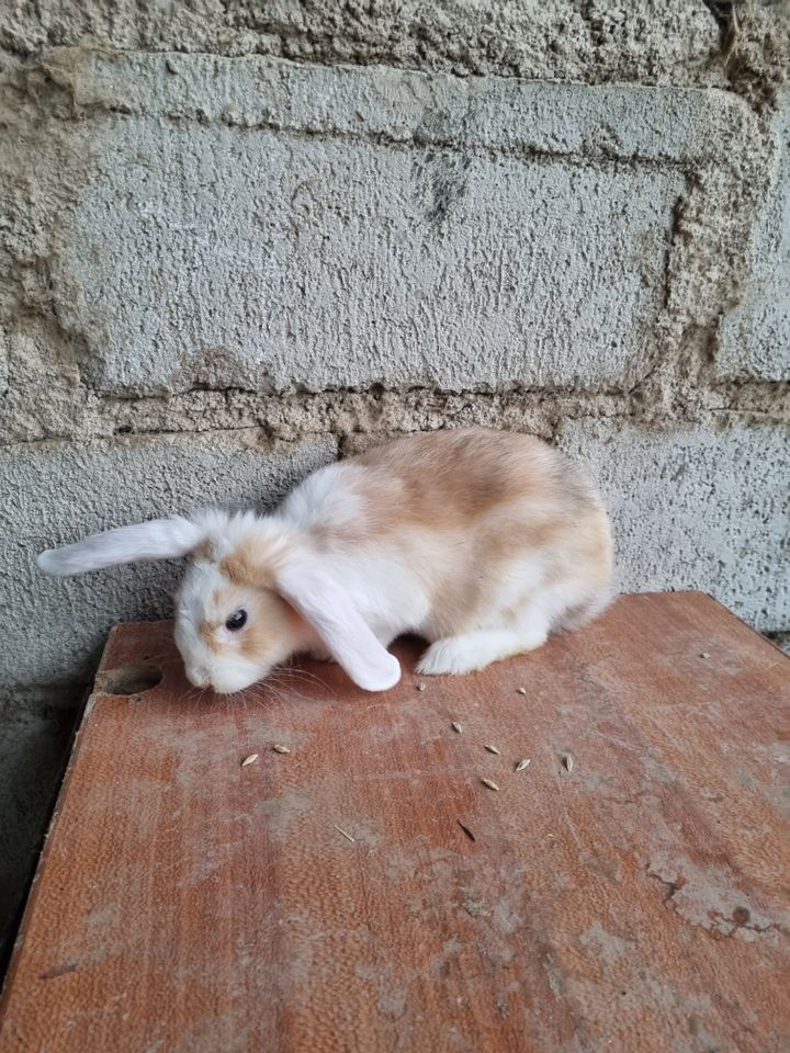 150 000 сум