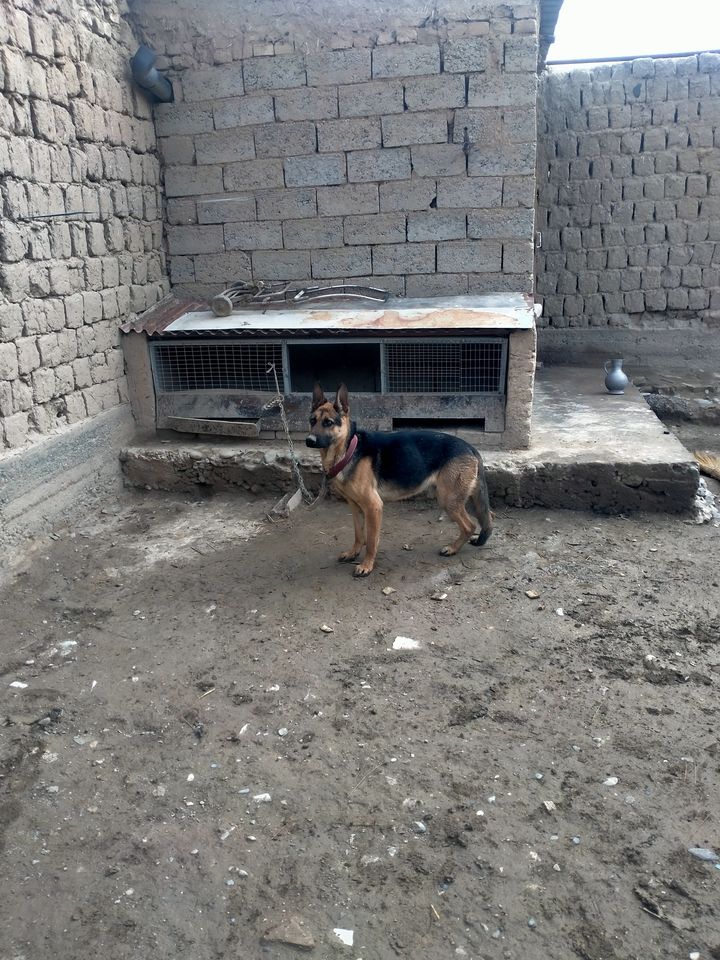 1 000 000 UZS