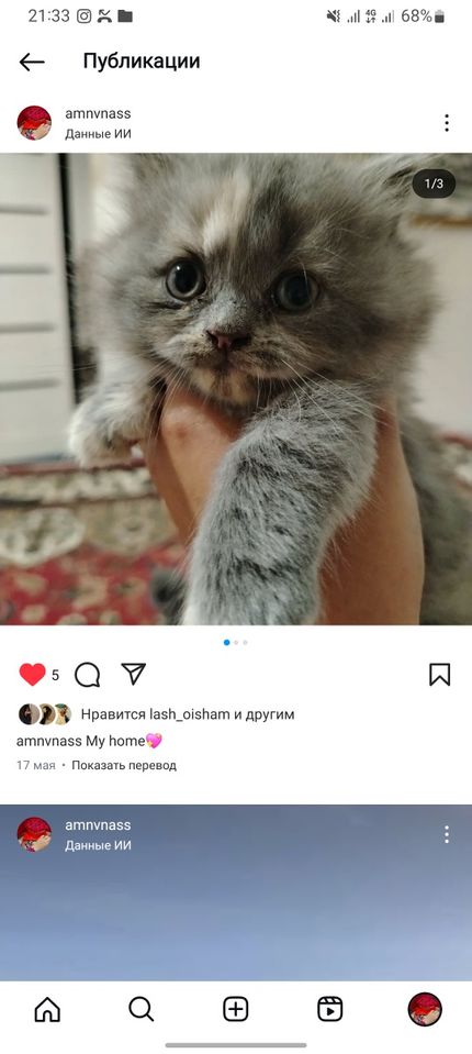 150 USD
