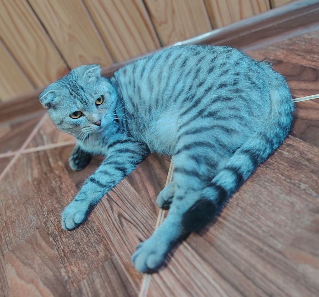 800 000 сум