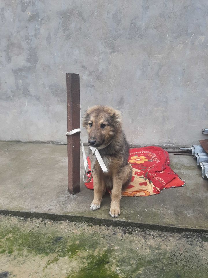 5 000 000 сум