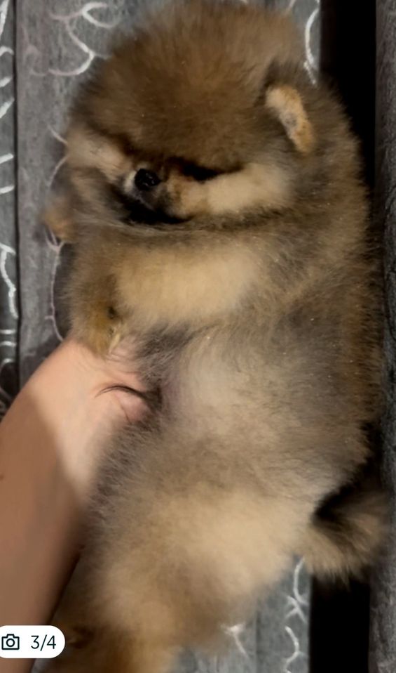 1 000 USD