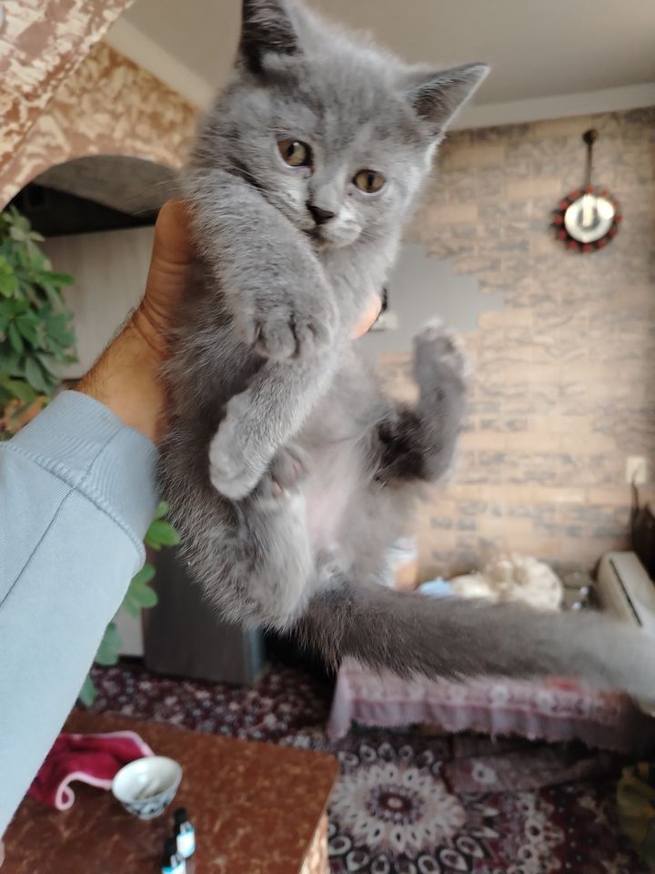 800 000 сум