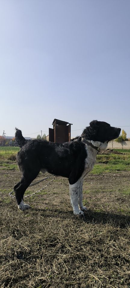 3 000 000 сум
