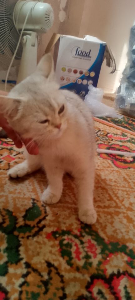 1 200 000 сум