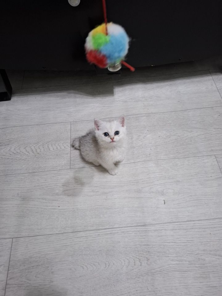 500 000 сум