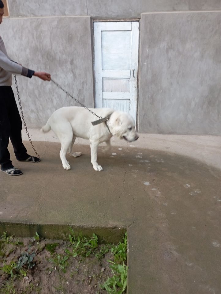 300 USD
