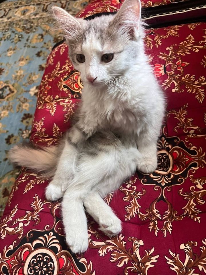 300 000 сум