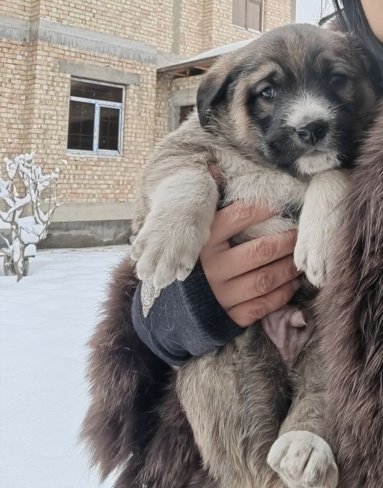 900 000 сум