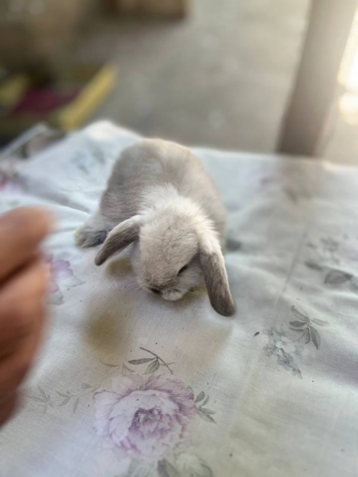 100 000 сум