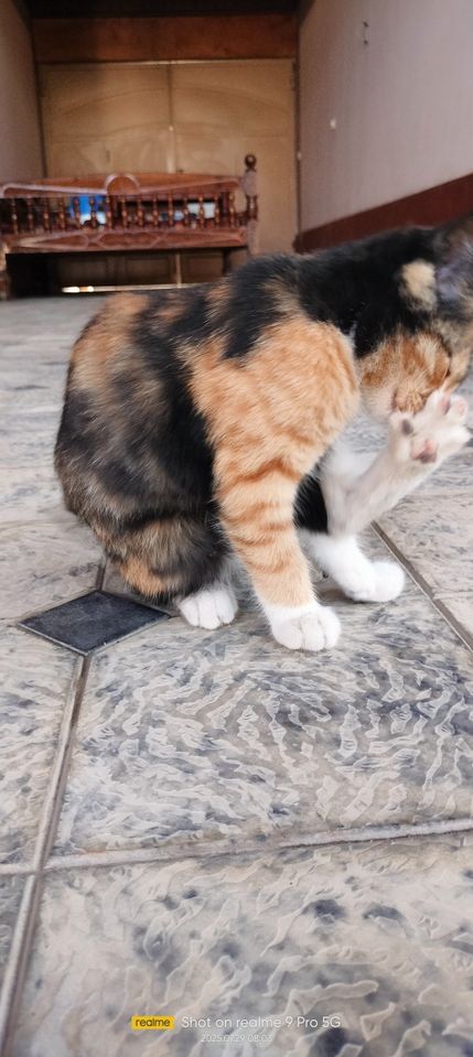 2 000 000 сум