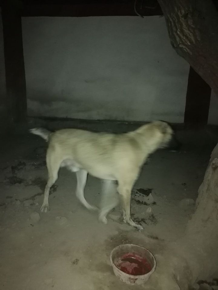 100 000 сум