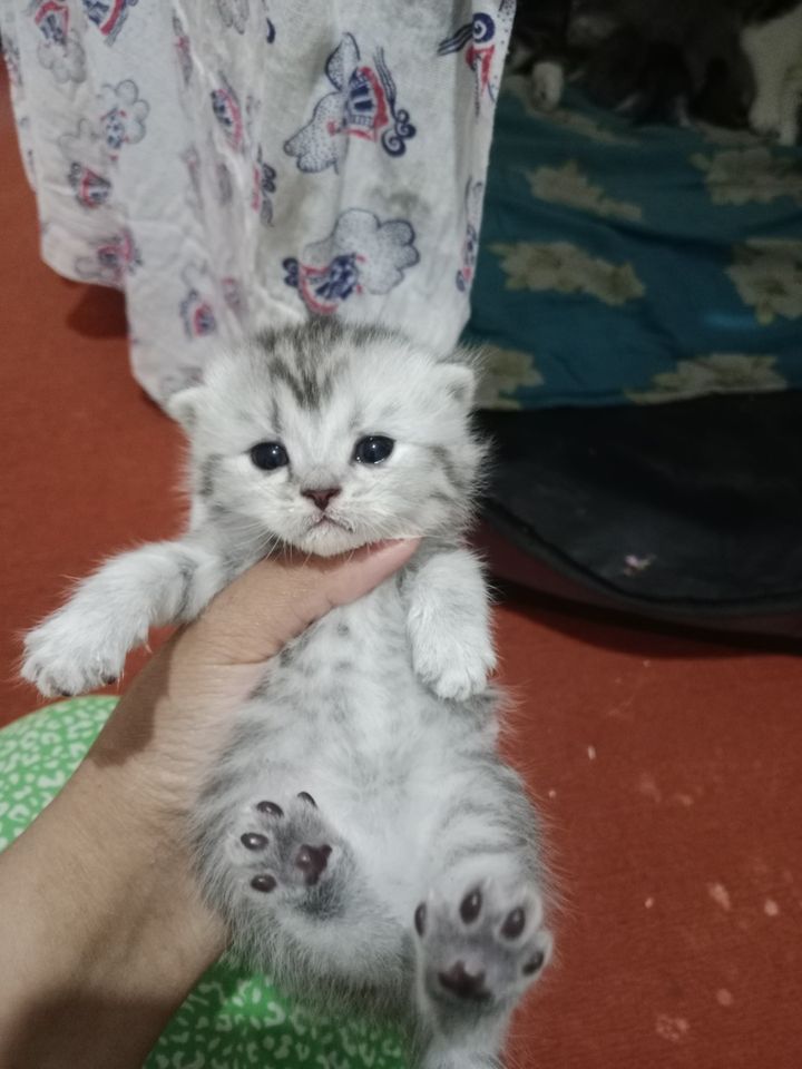 80 USD