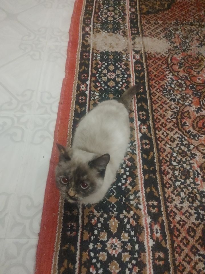 500 000 сум