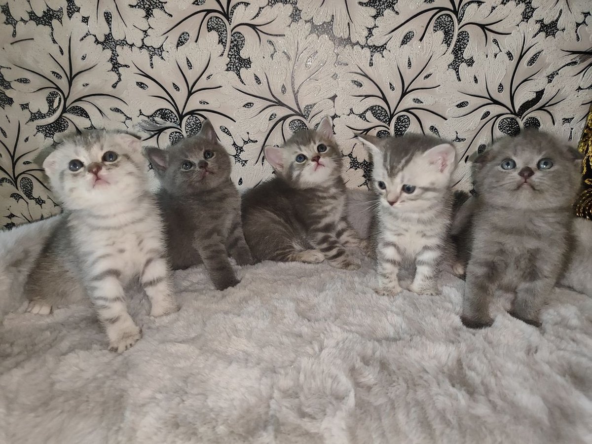 1 000 000 сум