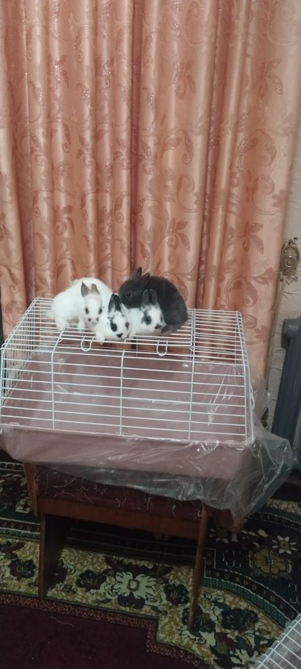 180 000 сум