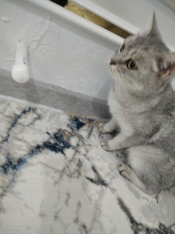 345 000 сум