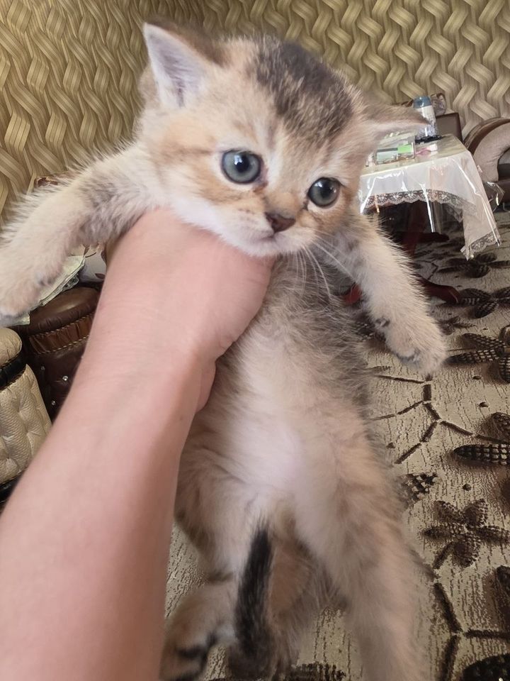 70 USD