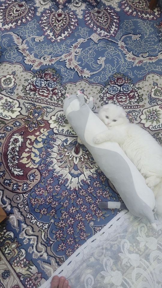 2 500 000 сум