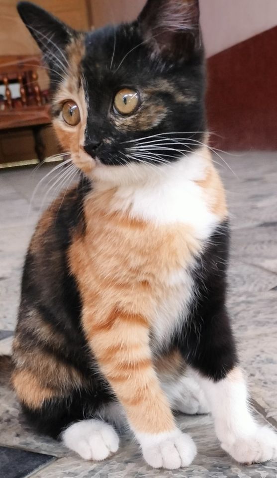 2 000 000 сум