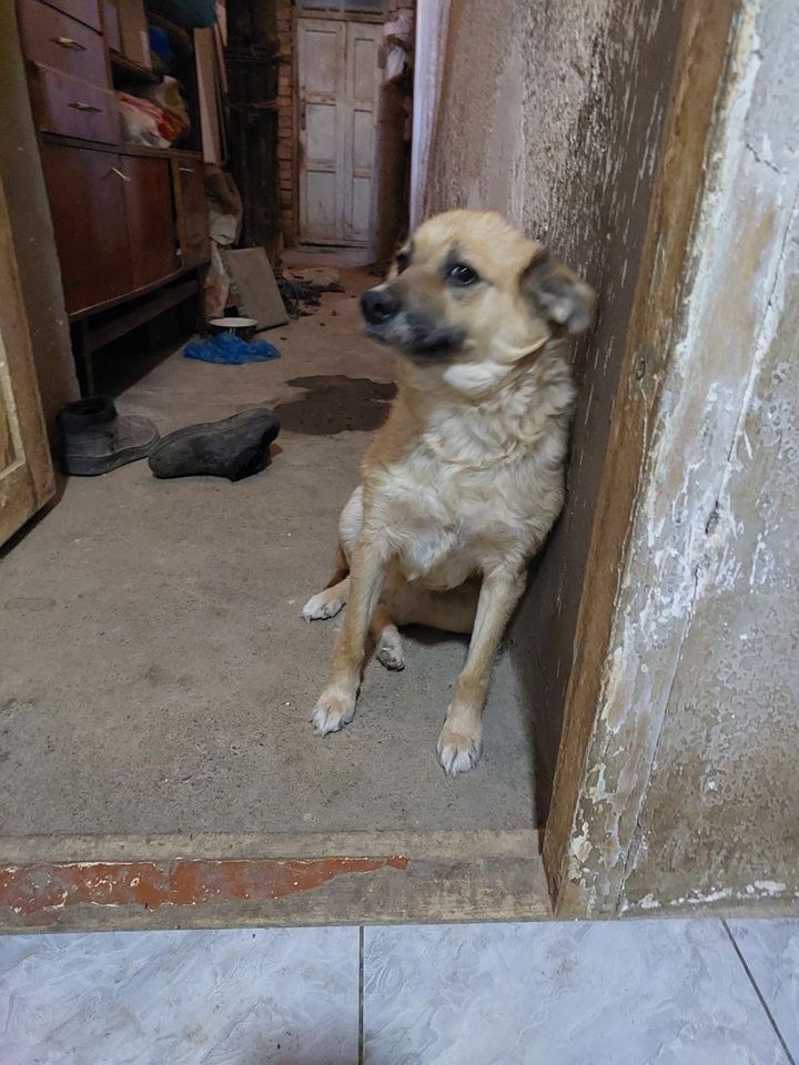 Бесплатно