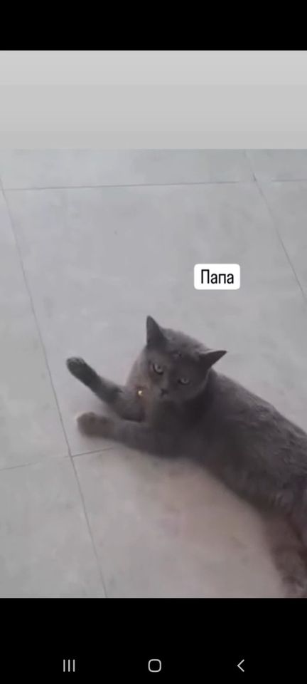 100 USD