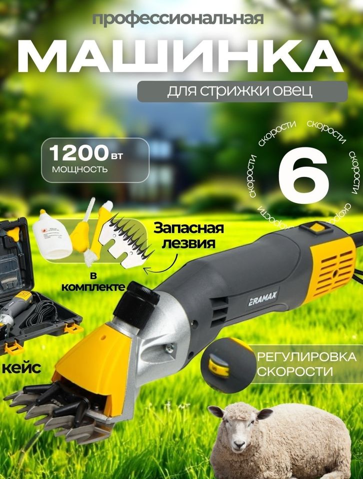 850 000 сум