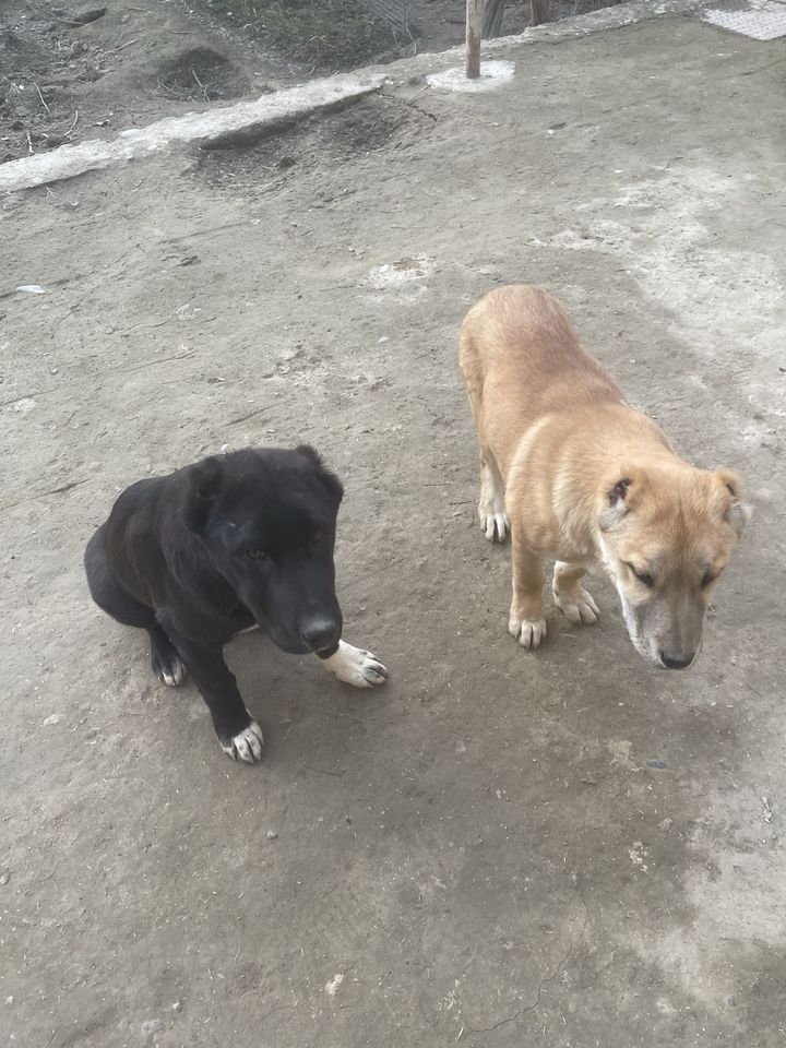2 000 000 сум