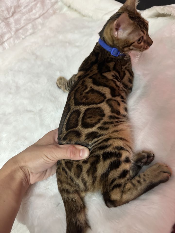 700 USD