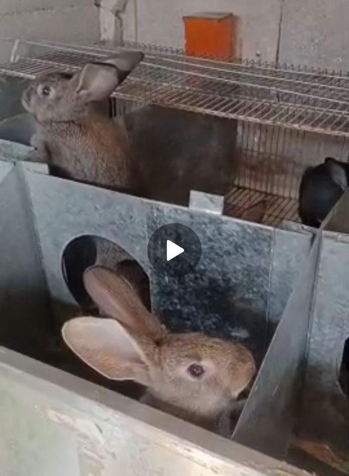 200 000 сум