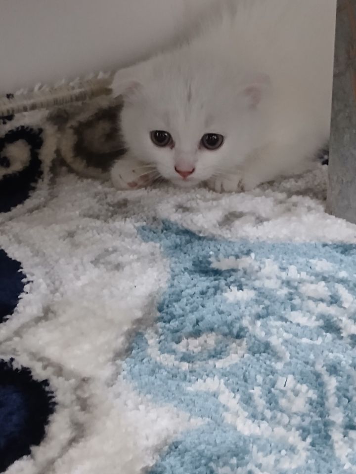 500 000 сум