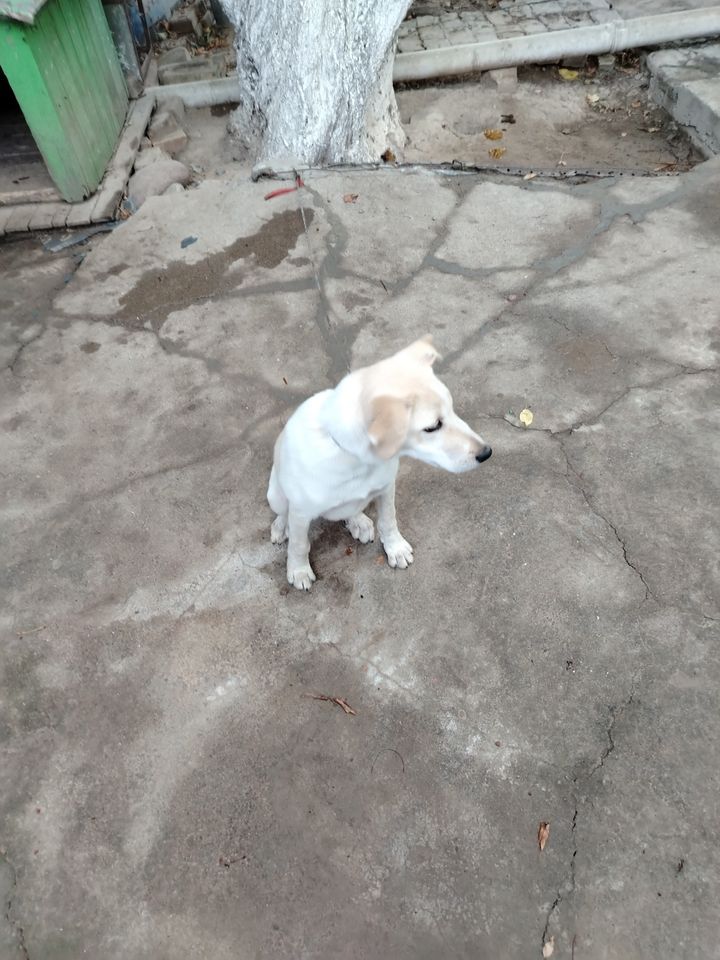 Бесплатно