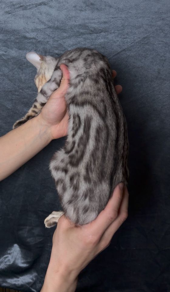 250 USD