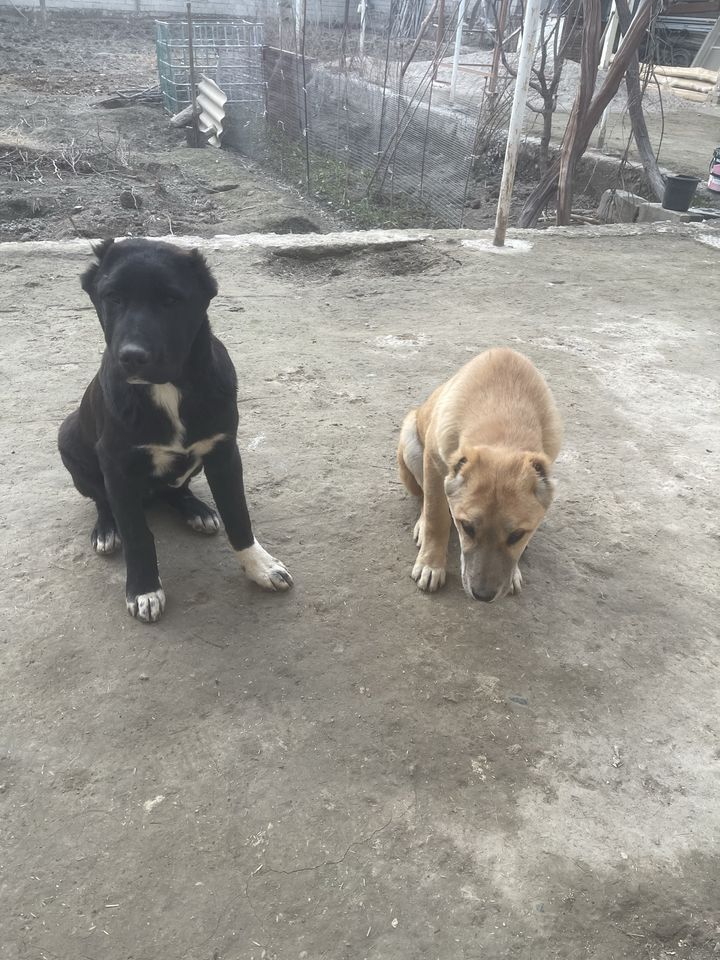 2 000 000 сум