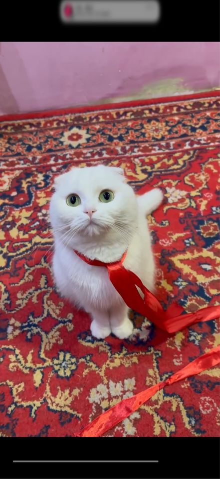 2 000 000 сум
