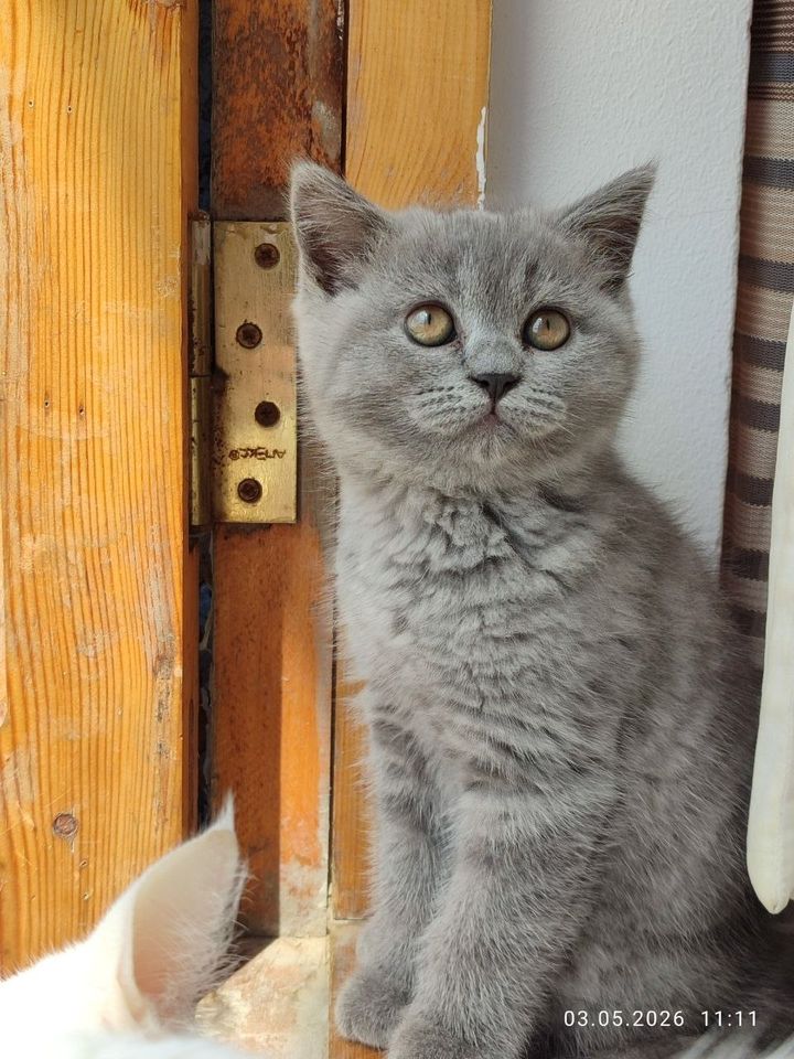 500 000 сум