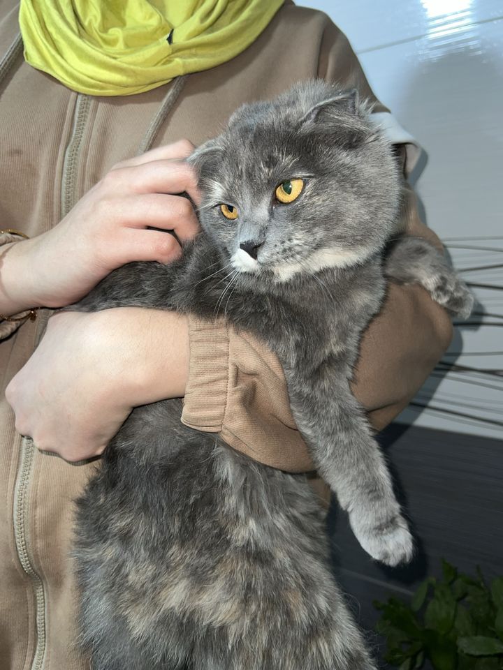2 200 000 UZS