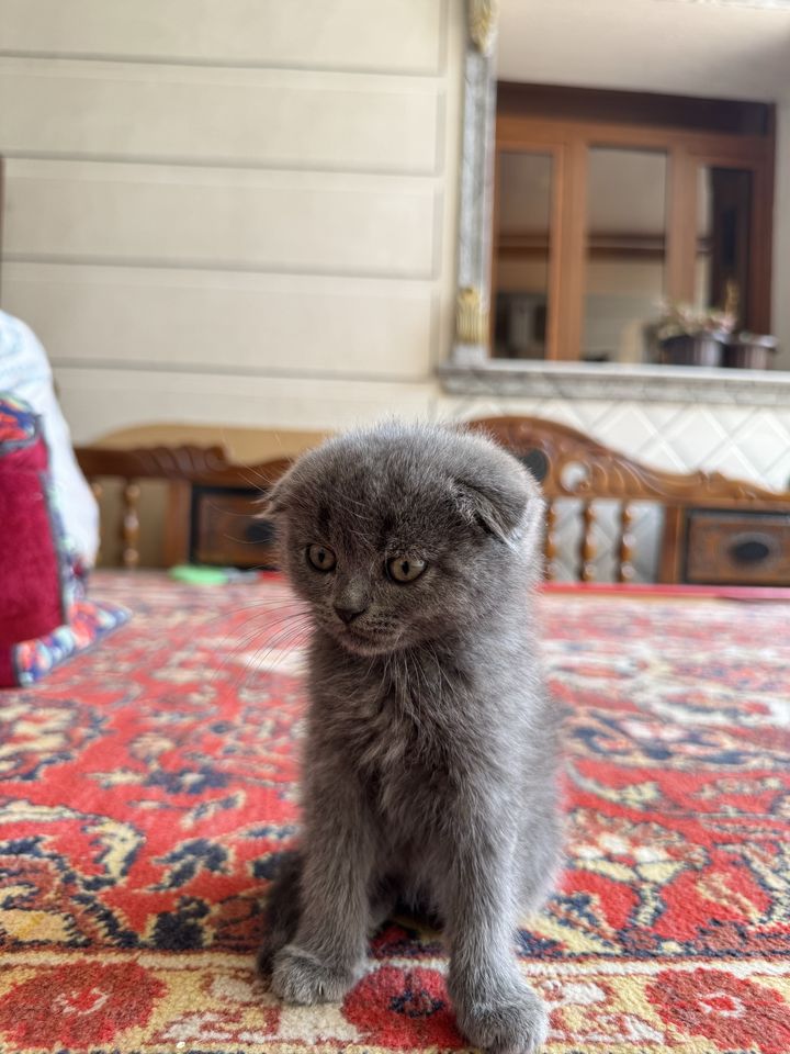 750 000 сум