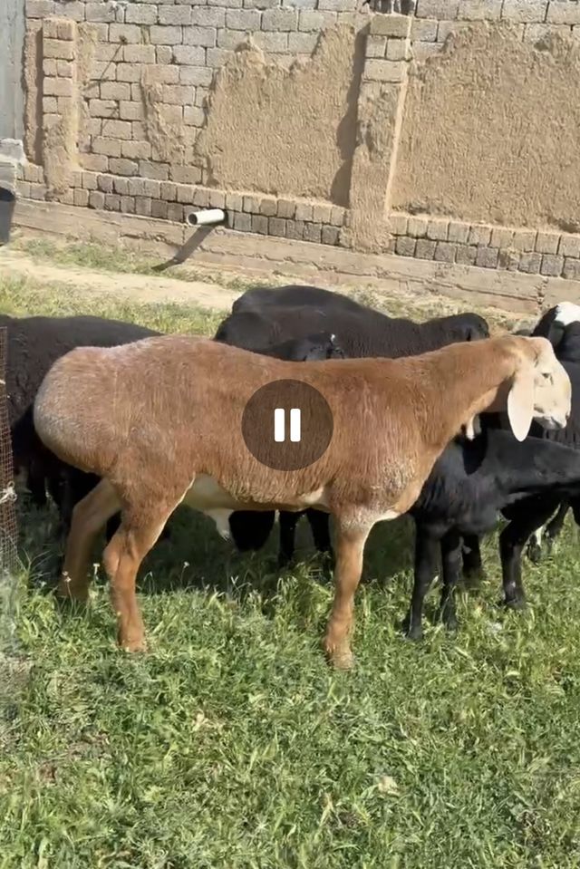 1 200 USD